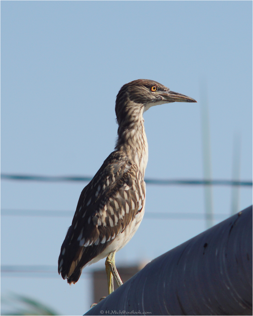 Studio-One.Art.br Repo Fotografia em Rio Preto SP/Brasil