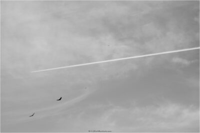 © H.mich@outlook.com