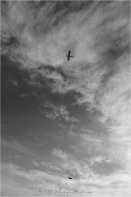 © H.mich@outlook.com