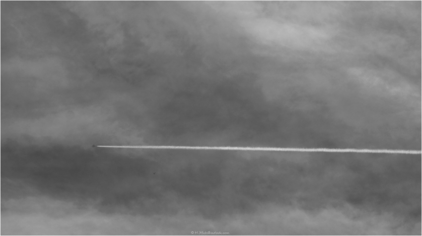 Studio-One.Art.br Repo Fotografia em Rio Preto SP/Brasil