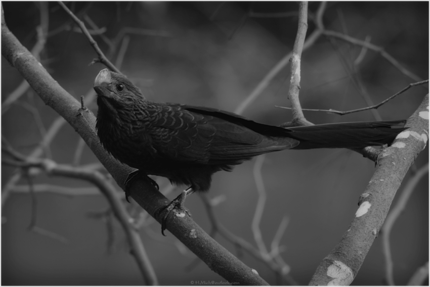 Studio-One.Art.br Repo Fotografia em Rio Preto SP/Brasil