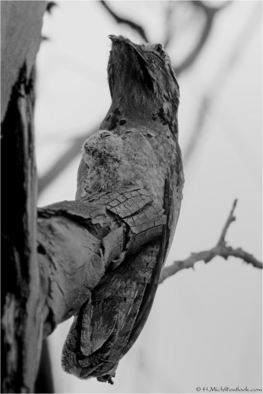 Studio-One.Art.br Repo Fotografia em Rio Preto SP/Brasil