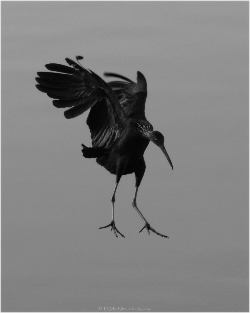 Studio-One.Art.br Repo Fotografia em Rio Preto SP/Brasil