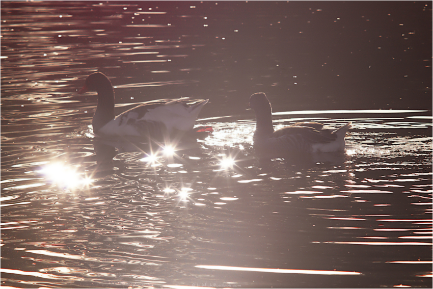 Studio-One.Art.br Repo Fotografia em Rio Preto SP/Brasil