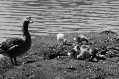 © H.mich@outlook.com