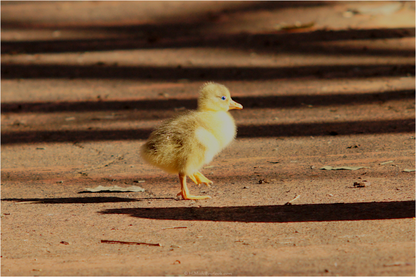 Studio-One.Art.br Repo Fotografia em Rio Preto SP/Brasil