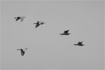© H.mich@outlook.com