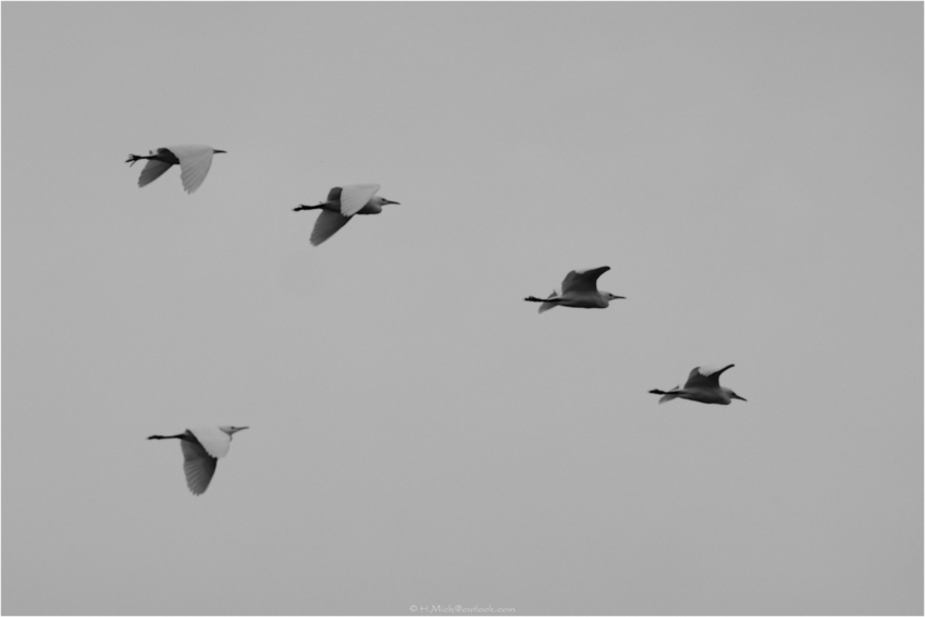 Studio-One.Art.br Repo Fotografia em Rio Preto SP/Brasil