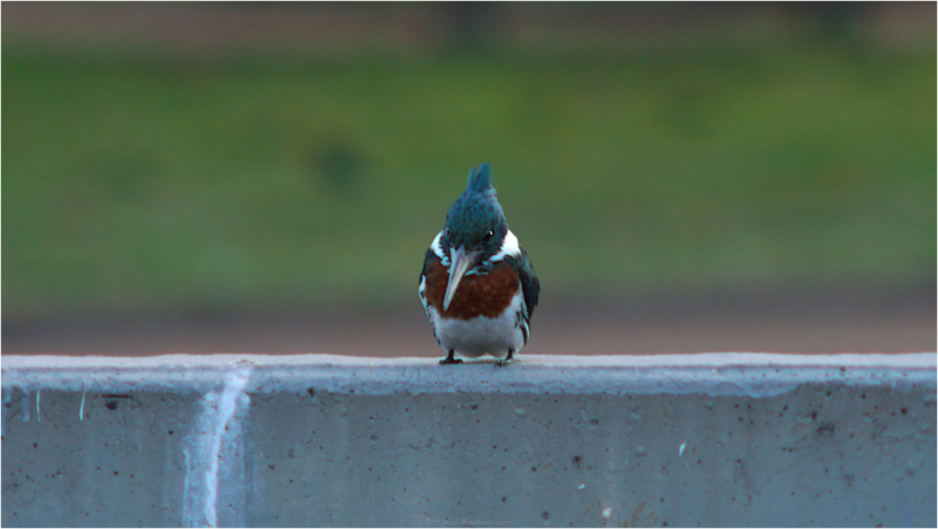 Studio-One.Art.br Repo Fotografia em Rio Preto SP/Brasil