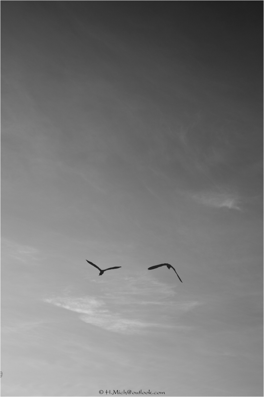 Studio-One.Art.br Repo Fotografia em Rio Preto SP/Brasil