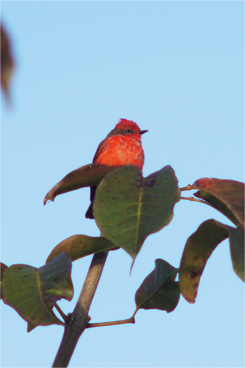 Studio-One.Art.br Repo Fotografia em Rio Preto SP/Brasil