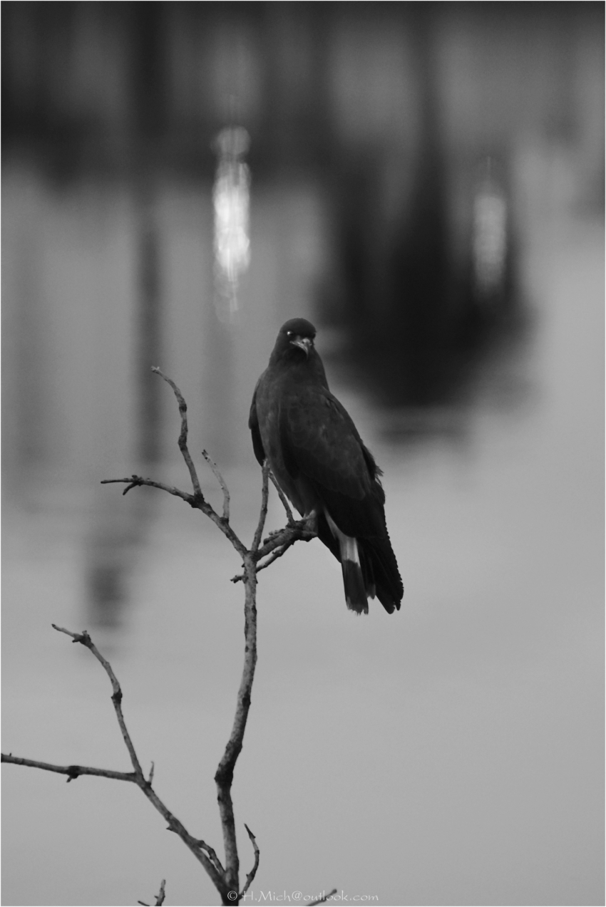 Studio-One.Art.br Repo Fotografia em Rio Preto SP/Brasil