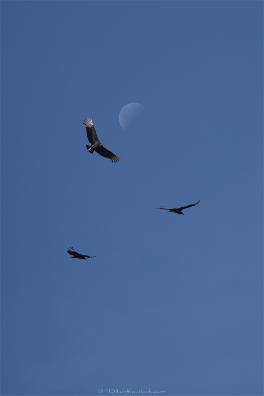 Studio-One.Art.br Repo Fotografia em Rio Preto SP/Brasil