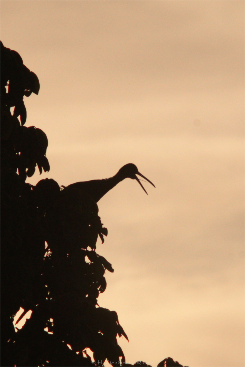 Studio-One.Art.br Repo Fotografia em Rio Preto SP/Brasil