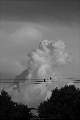 © H.mich@outlook.com