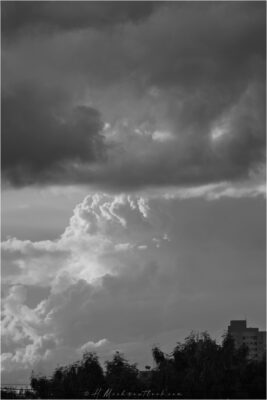 © H.mich@outlook.com