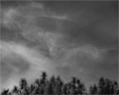 © H.mich@outlook.com