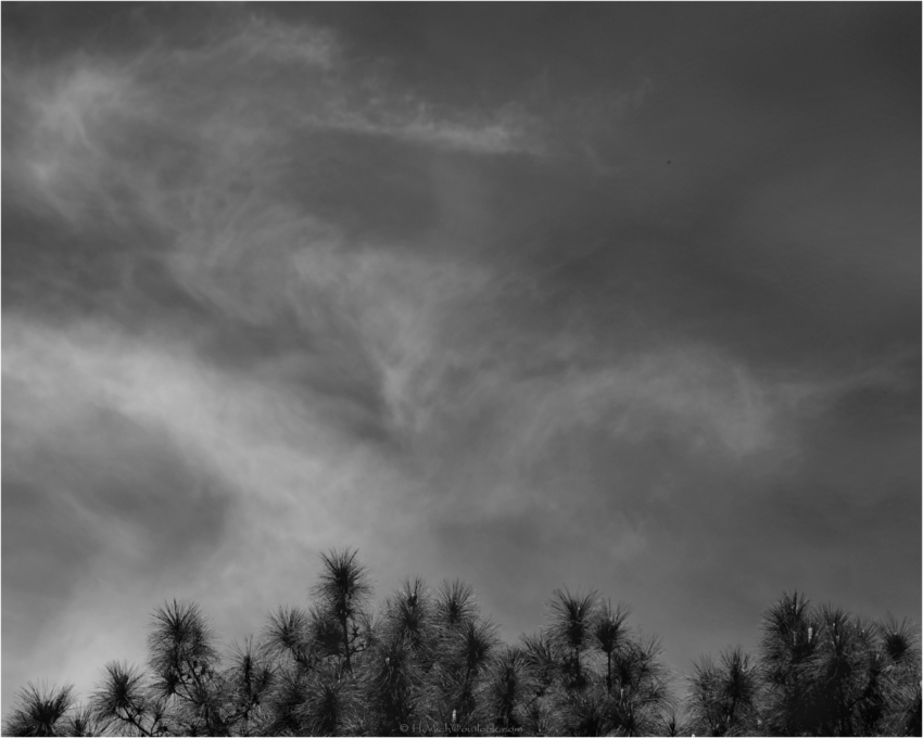 Studio-One.Art.br Repo Fotografia em Rio Preto SP/Brasil