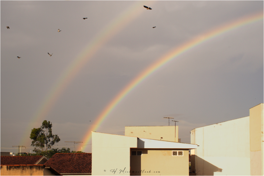 Studio-One.Art.br Repo Fotografia em Rio Preto SP/Brasil