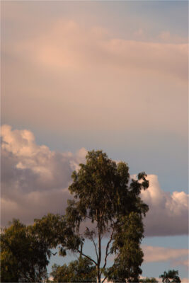 © H.mich@outlook.com