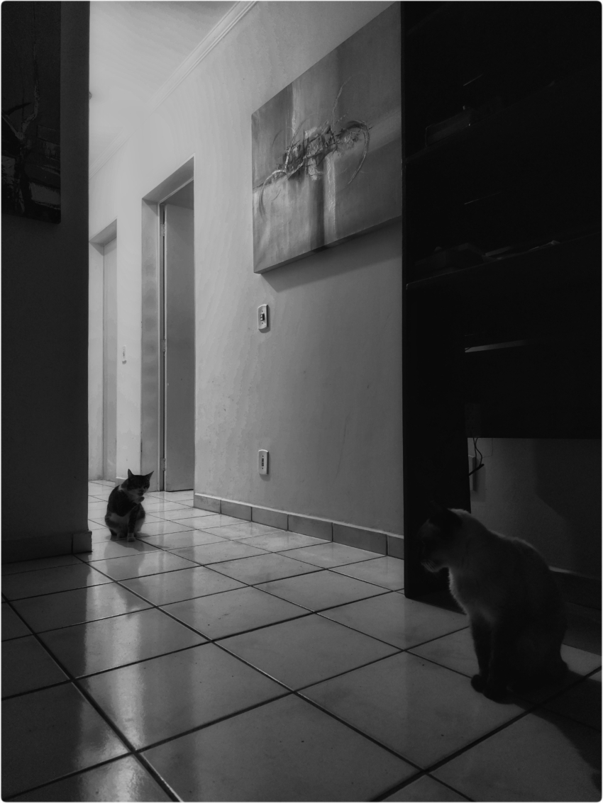 Studio-One.Art.br Repo Fotografia em Rio Preto SP/Brasil