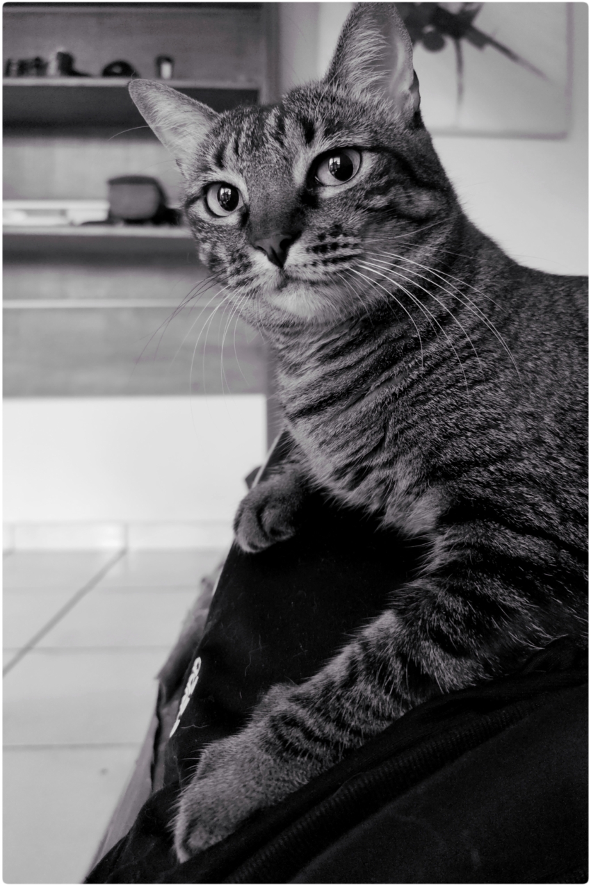 Studio-One.Art.br Repo Fotografia em Rio Preto SP/Brasil