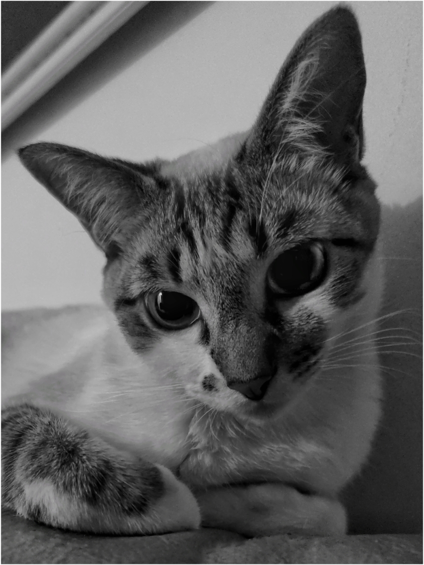 Studio-One.Art.br Repo Fotografia em Rio Preto SP/Brasil