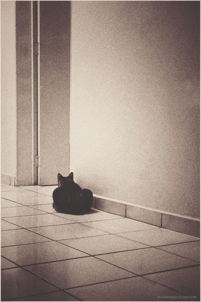 Studio-One.Art.br Repo Fotografia em Rio Preto SP/Brasil