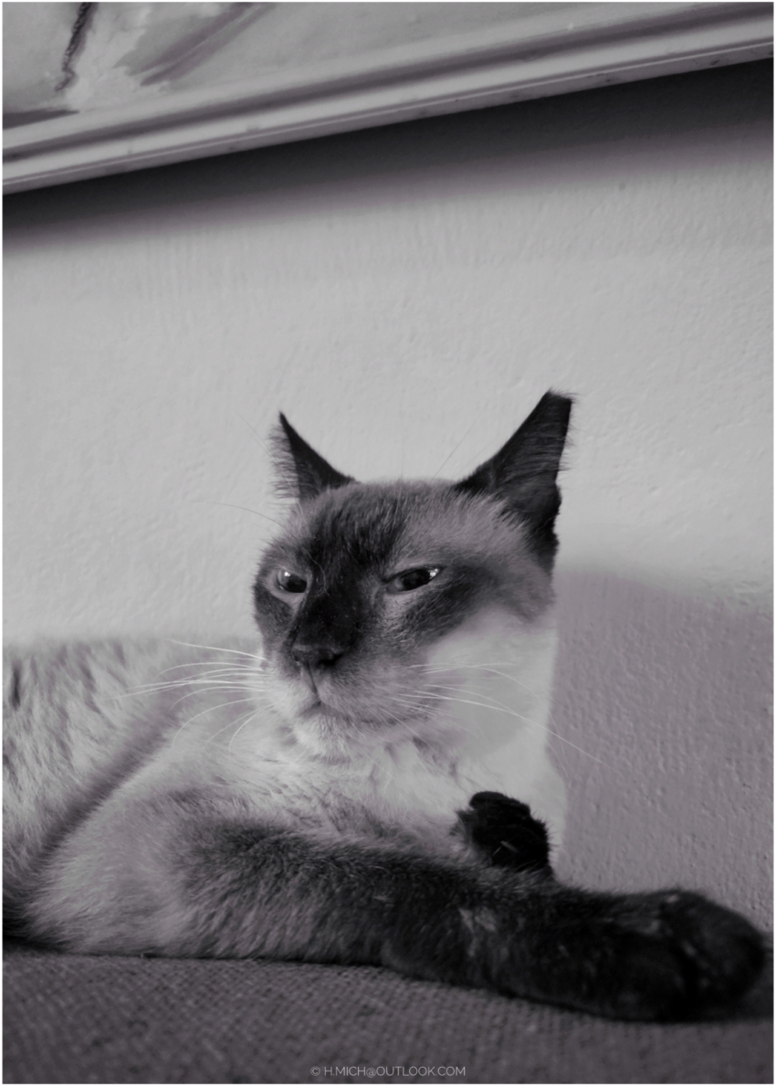 Studio-One.Art.br Repo Fotografia em Rio Preto SP/Brasil