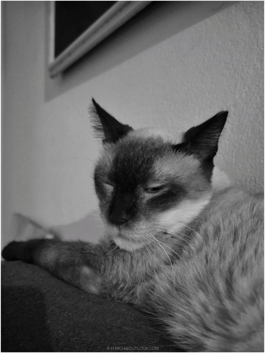 Studio-One.Art.br Repo Fotografia em Rio Preto SP/Brasil