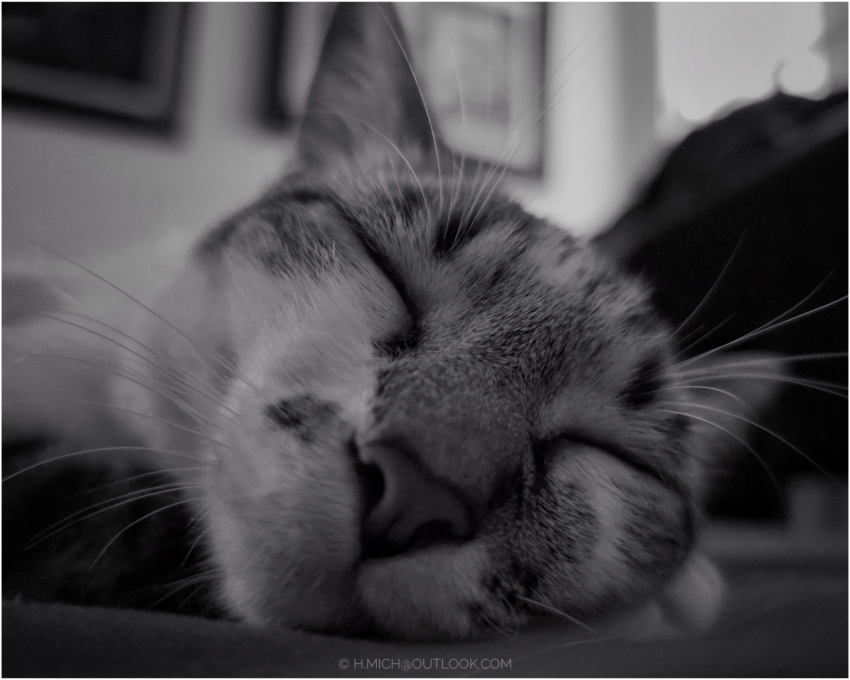 Studio-One.Art.br Repo Fotografia em Rio Preto SP/Brasil