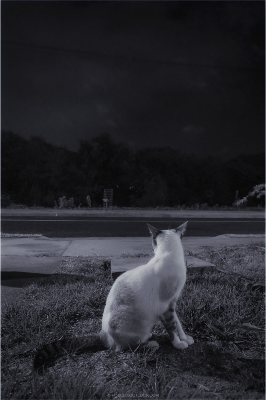 Studio-One.Art.br Repo Fotografia em Rio Preto SP/Brasil