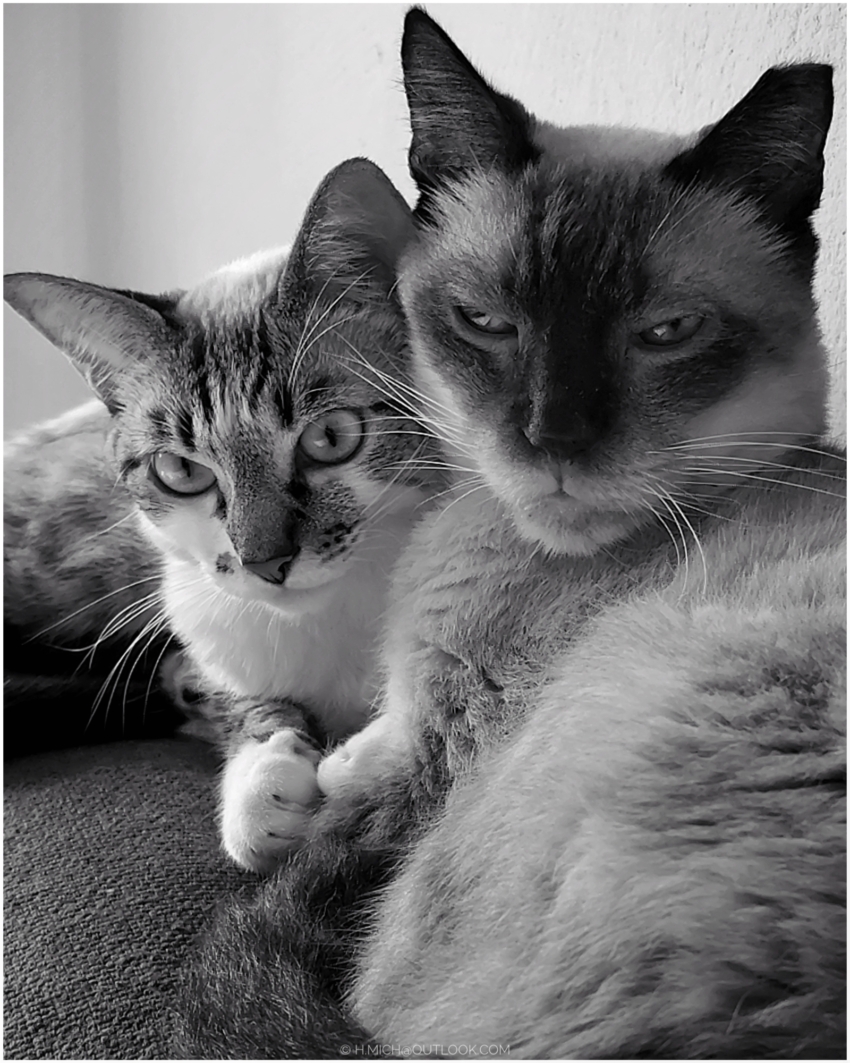 Studio-One.Art.br Repo Fotografia em Rio Preto SP/Brasil