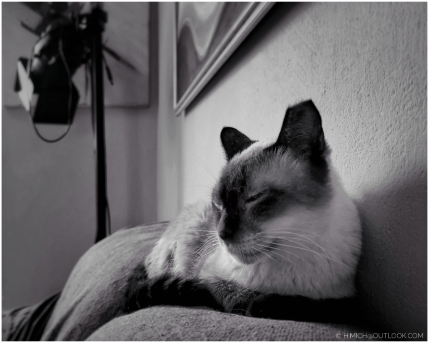 Studio-One.Art.br Repo Fotografia em Rio Preto SP/Brasil