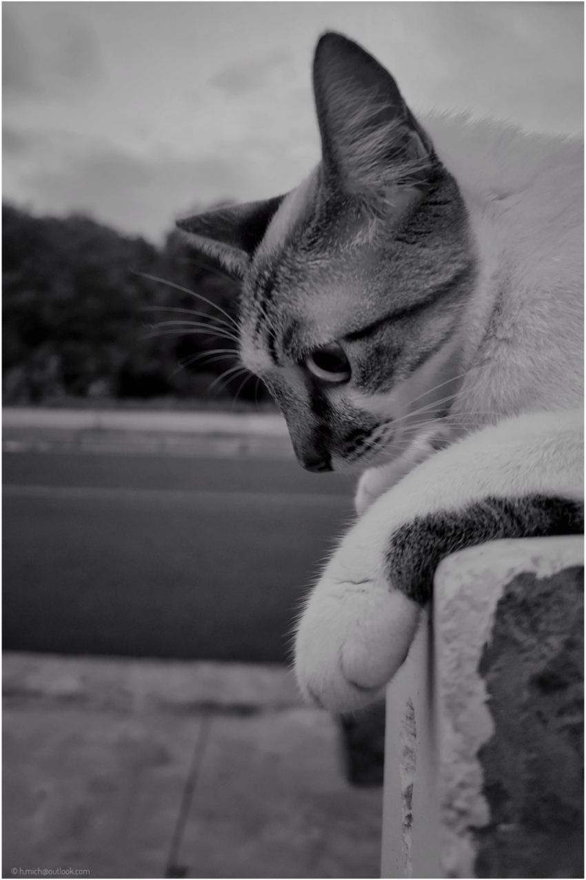 Studio-One.Art.br Repo Fotografia em Rio Preto SP/Brasil