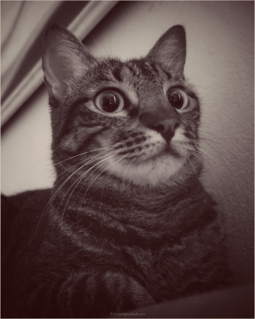 Studio-One.Art.br Repo Fotografia em Rio Preto SP/Brasil