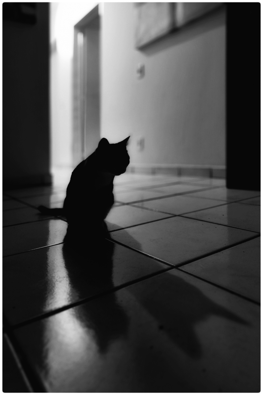 Studio-One.Art.br Repo Fotografia em Rio Preto SP/Brasil