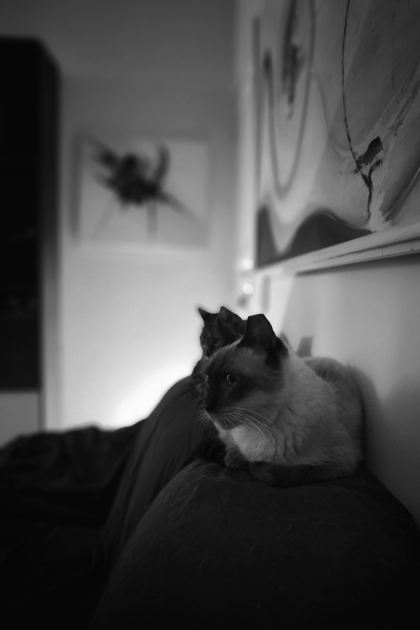 Studio-One.Art.br Repo Fotografia em Rio Preto SP/Brasil