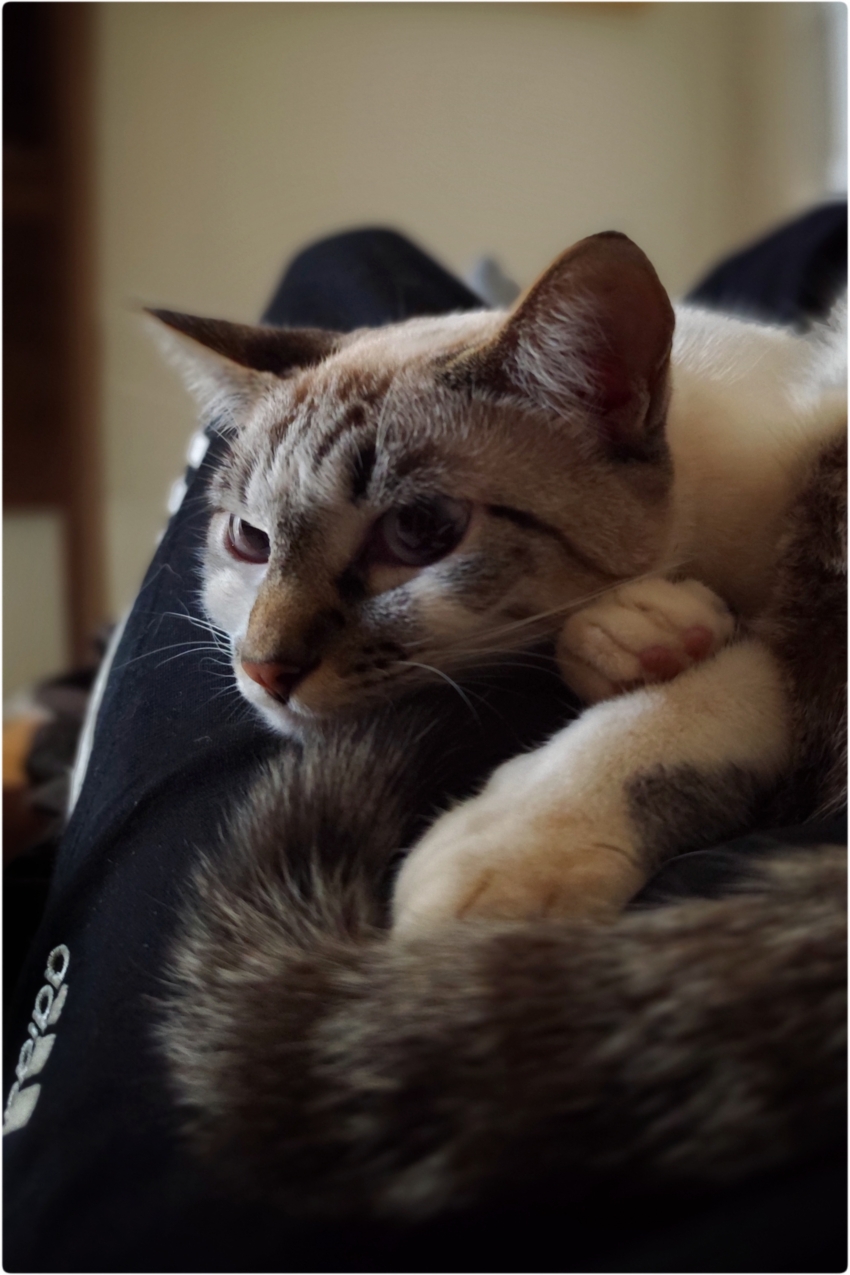 Studio-One.Art.br Repo Fotografia em Rio Preto SP/Brasil