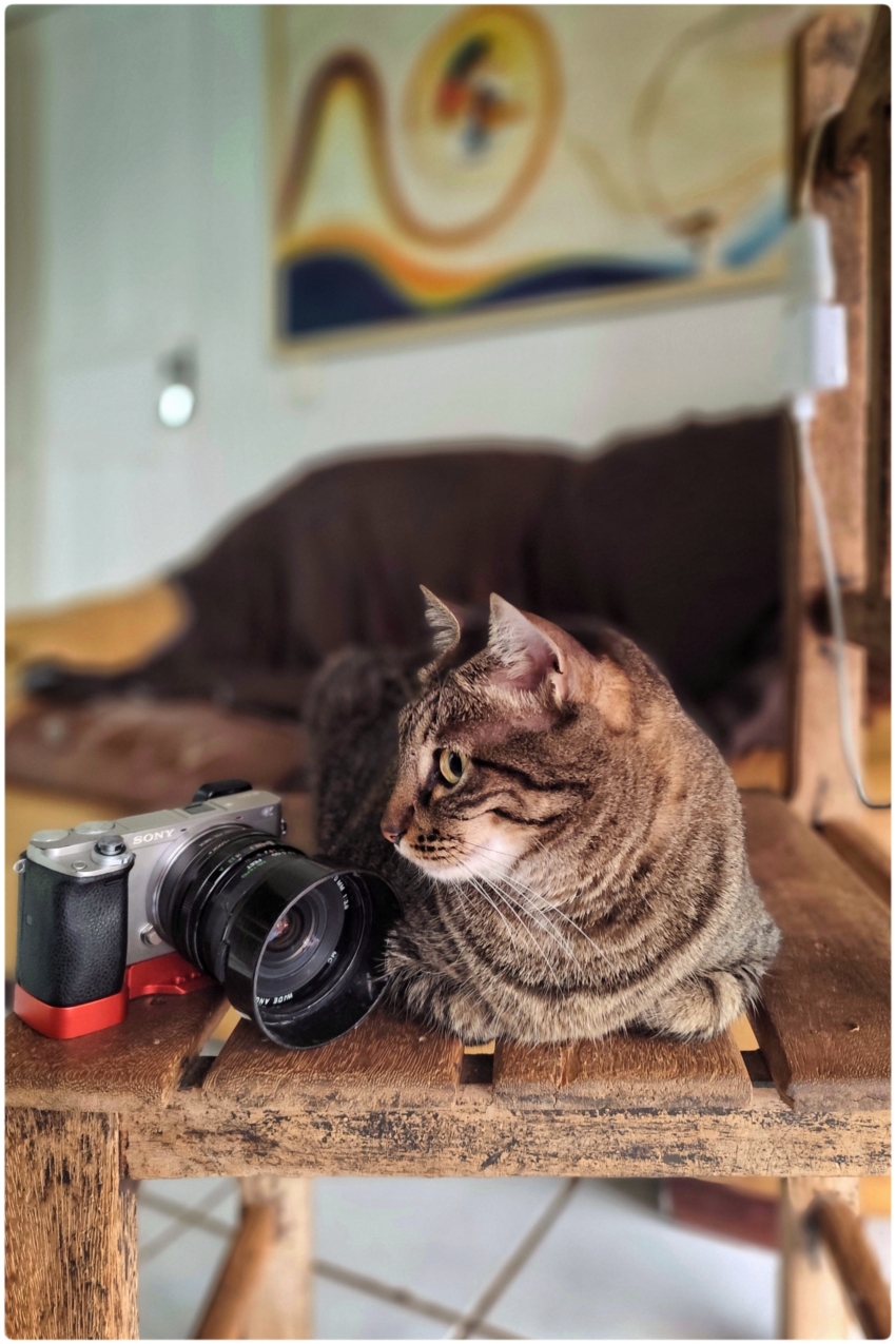 Studio-One.Art.br Repo Fotografia em Rio Preto SP/Brasil