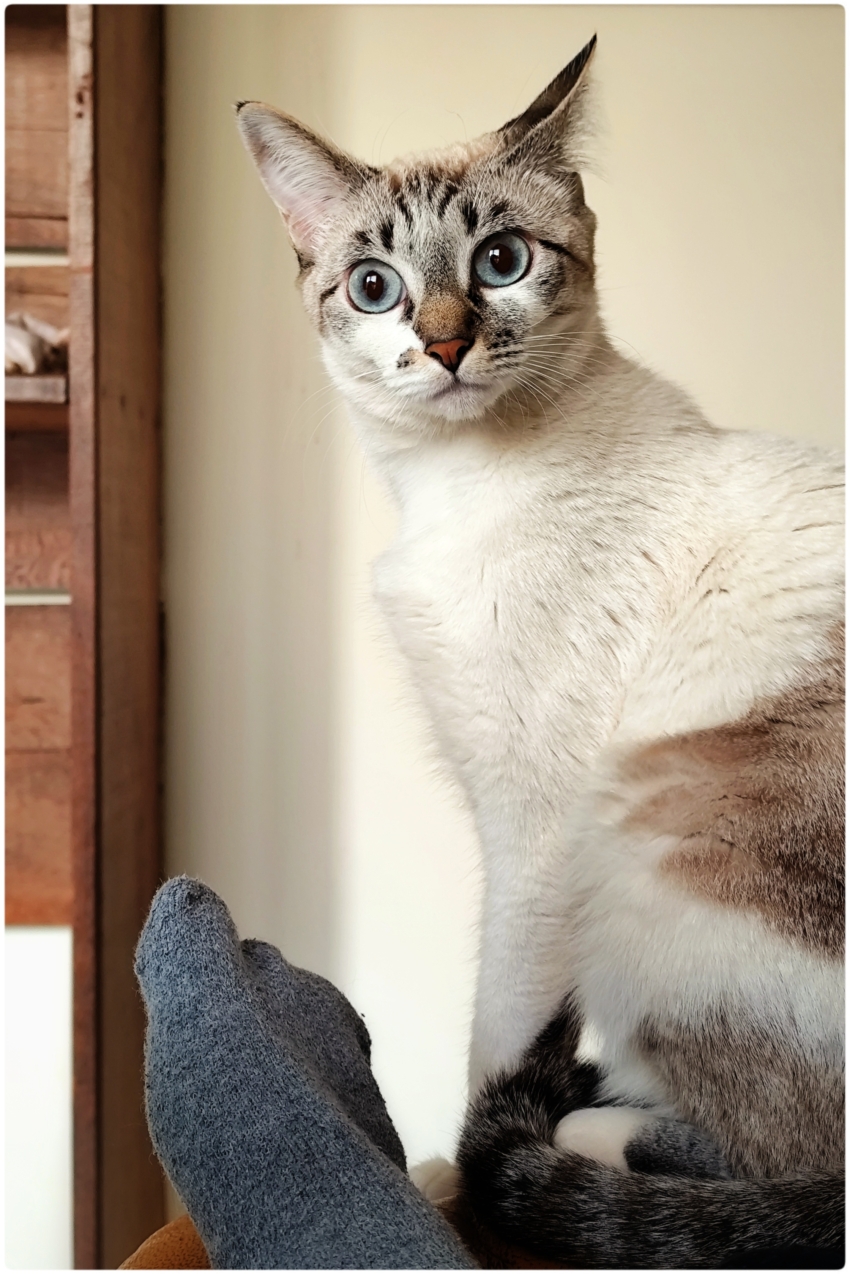 Studio-One.Art.br Repo Fotografia em Rio Preto SP/Brasil