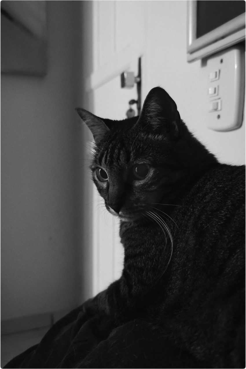 Studio-One.Art.br Repo Fotografia em Rio Preto SP/Brasil