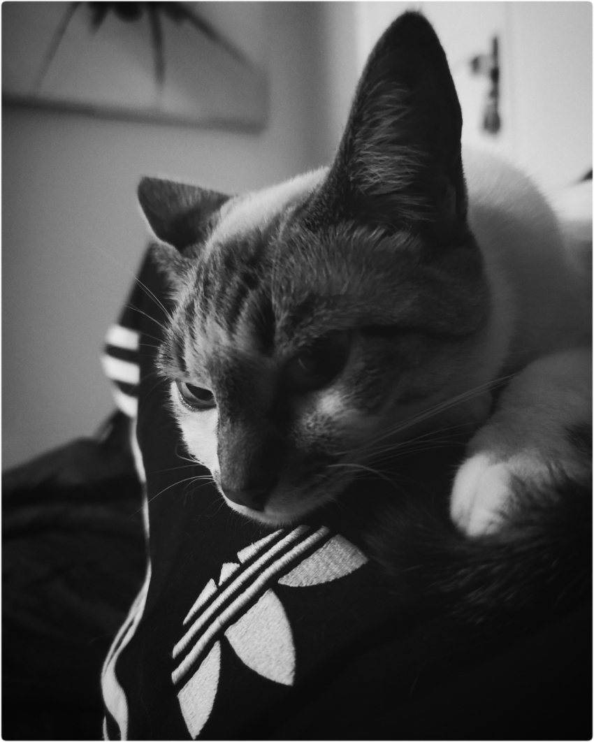 Studio-One.Art.br Repo Fotografia em Rio Preto SP/Brasil