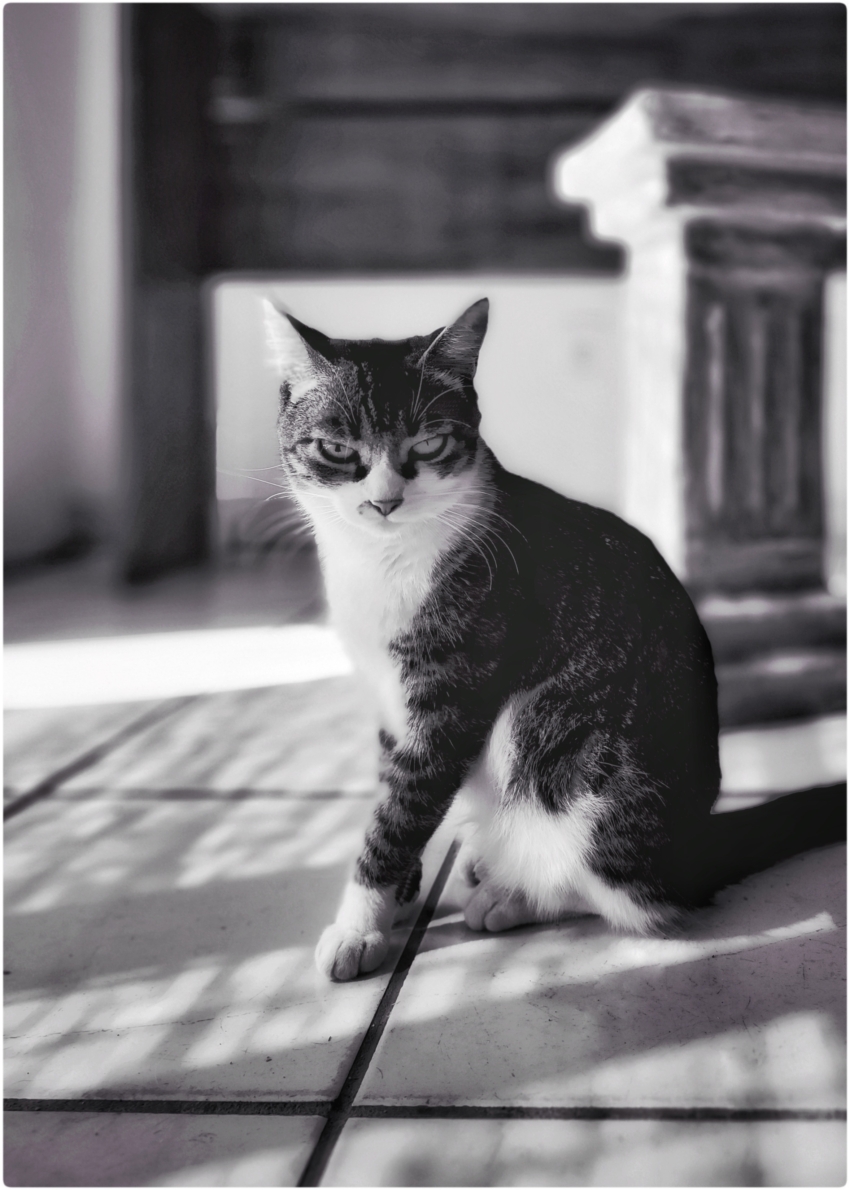 Studio-One.Art.br Repo Fotografia em Rio Preto SP/Brasil