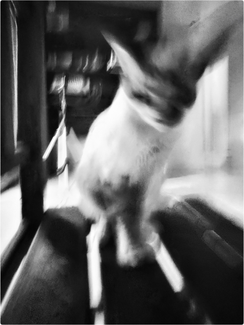 Studio-One.Art.br Repo Fotografia em Rio Preto SP/Brasil