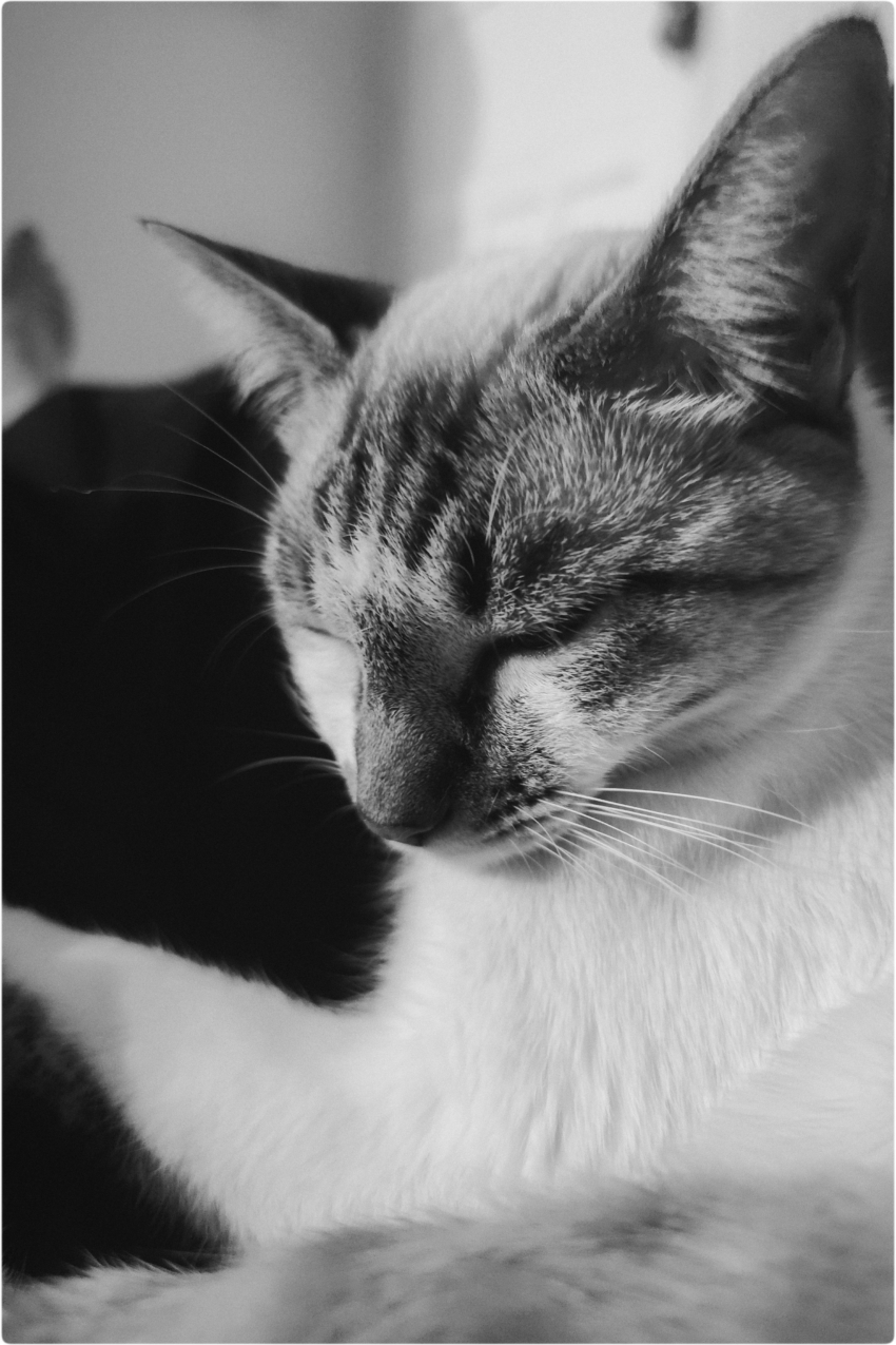 Studio-One.Art.br Repo Fotografia em Rio Preto SP/Brasil