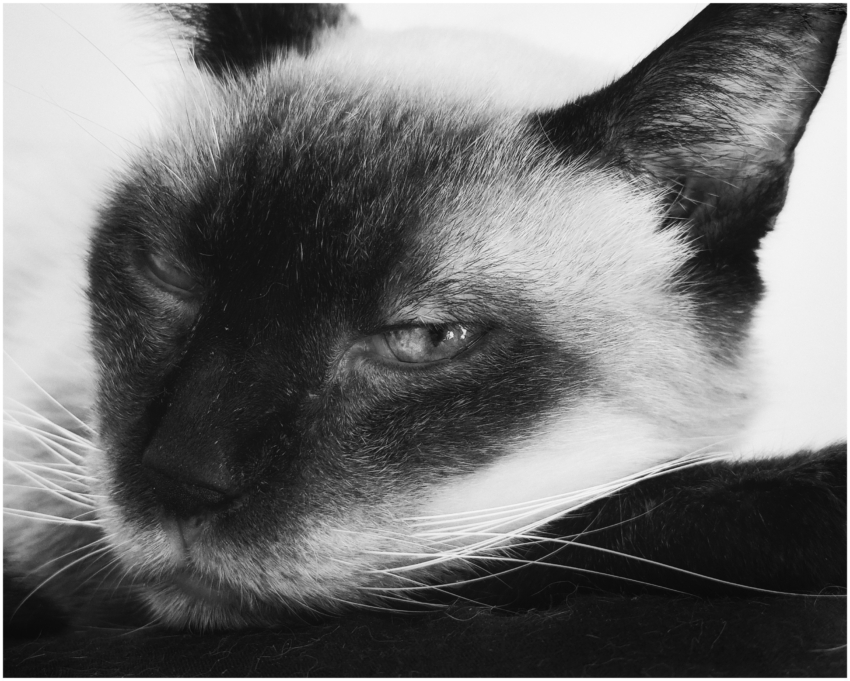 Studio-One.Art.br Repo Fotografia em Rio Preto SP/Brasil