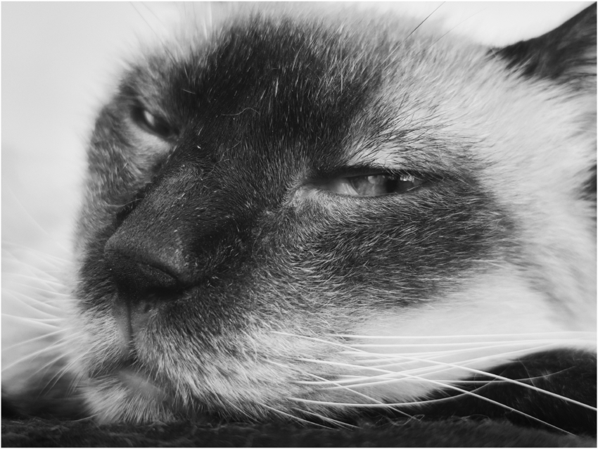 Studio-One.Art.br Repo Fotografia em Rio Preto SP/Brasil