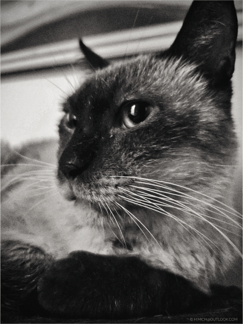 Studio-One.Art.br Repo Fotografia em Rio Preto SP/Brasil