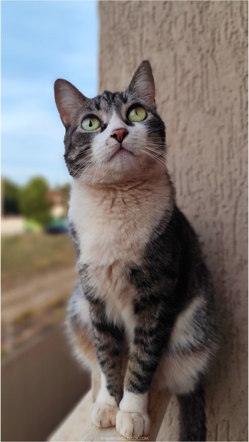 Studio-One.Art.br Repo Fotografia em Rio Preto SP/Brasil